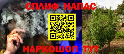 прущие грибы Тверь