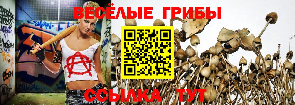 Псилоцибиновые грибы Psilocybine cubensis  Вход с VPN  Фрязино 